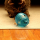 Image: Purina